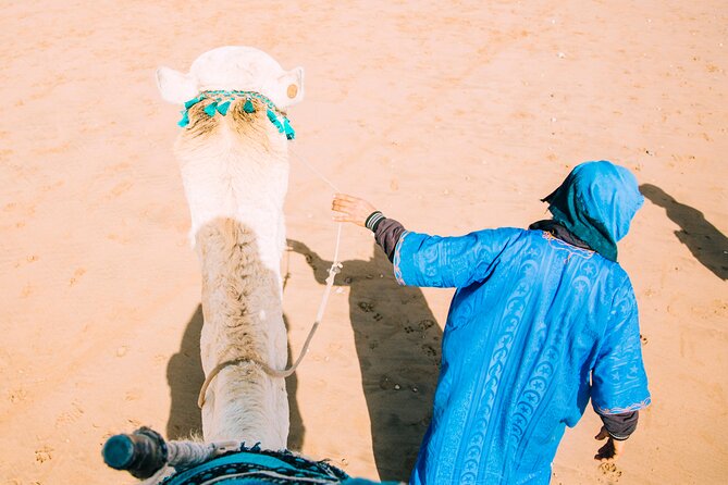 Camel Ride and Dinner in the Agafay Desert With Transportation - Experience Features