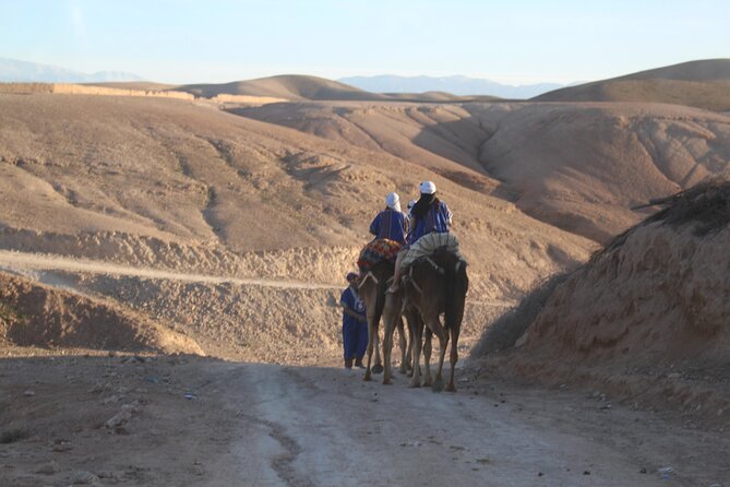 Camel Ride at Agafay Desert - Pickup and Transportation Details