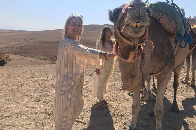 Camel Ride in Agafay Desert - Transportation and Meeting Details