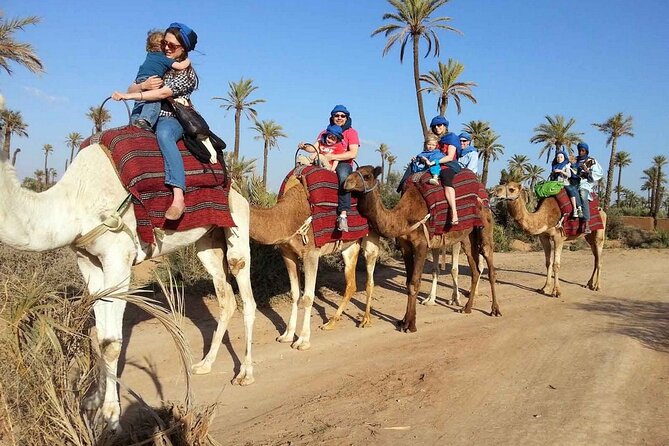 Camel Ride in the Palm Grove of Marrakech - Pricing and Inclusions