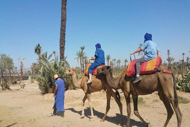 Camel Ride Tour in Marrakech - What to Expect