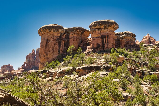 Canyonlands Full Day Private Tour Review - Pickup and Transportation Details