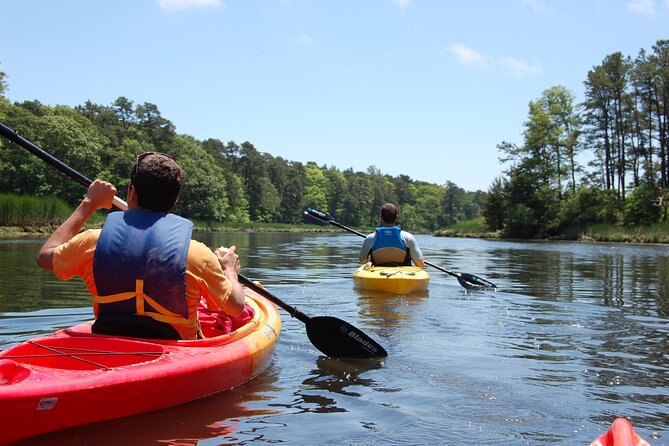 Cape Cod Sunset Kayak Tour Review - Meeting and Pickup