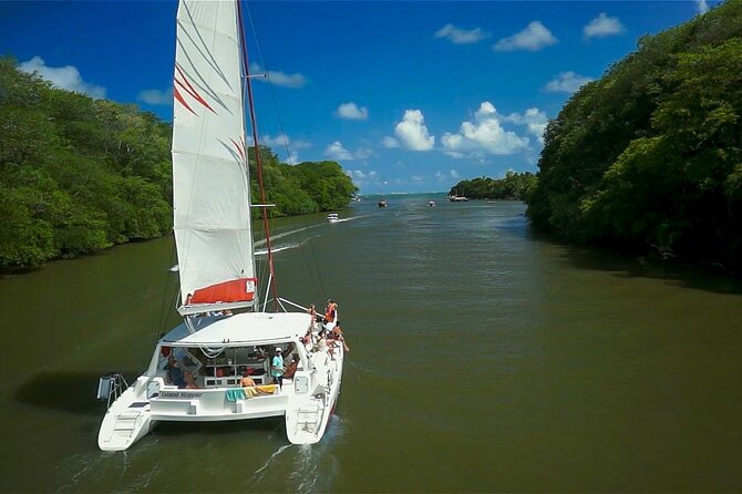 Catamaran Fullday Guided Tour to Ile Aux Cerfs From Pointe Jerome - Itinerary Highlights