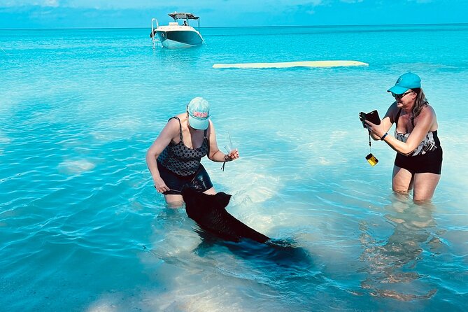 Catamaran Reef Snorkel & Turtle Adventure - Meeting and Pickup Details