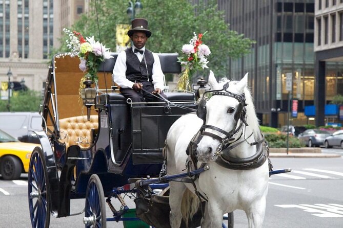 Central Park and NYC Horse Carriage Ride Review - Personalized Guided Experience