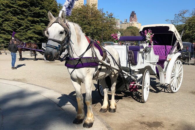 Central Park Horse Carriage Rides Since 2005 - Meeting and Pickup Information