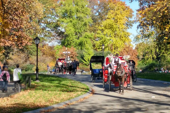 Central Park Walking Tour: Scandal and Vice - Sex, Drugs, and Rock & Roll: The Dark Side of the Gilded Age in Central Park