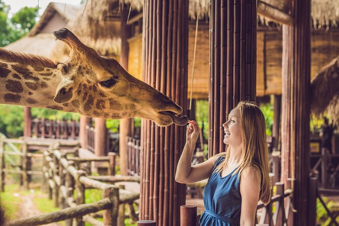 Central Park Zoo Skip-the-line Tickets Review - Accessibility and Safety Information