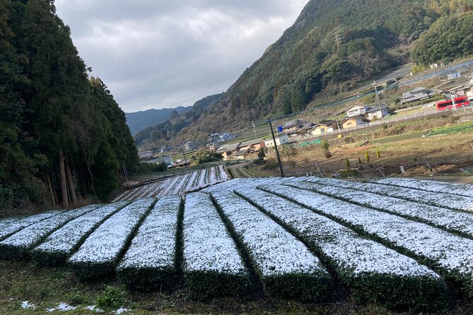 Ceramics and Green Tea Tour of Nagasaki and Saga Prefecture - Inclusions