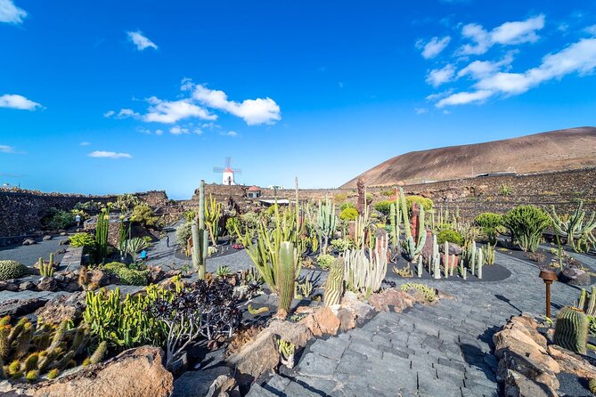 Cesar Manrique Highlights Half Day Tour - Exploring the Cactus Garden