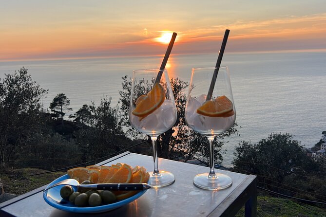 Cesarine: Sunset Spritz Masterclass With Dinner in Cinque Terre - Menu Details
