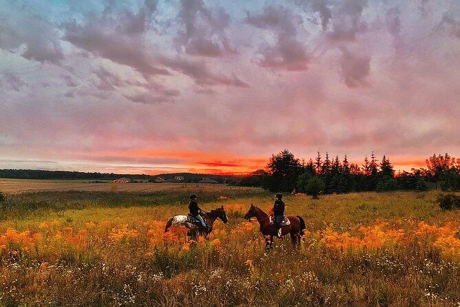 Champagne and Charcuterie Sunset Trail Ride Review - Inclusions and Exclusions