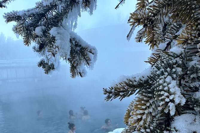 Chena Hot Spring Day Tour - Pickup and Meeting Information