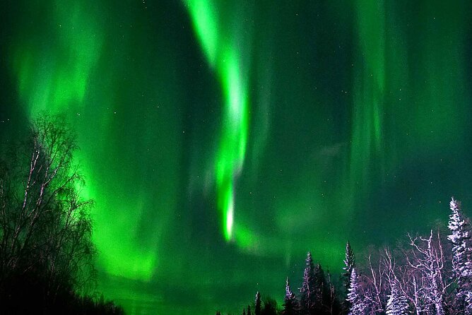 Chena Hot Springs Aurora Tour - Chena Hot Springs: A Geothermal Oasis