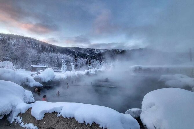 Chena Hot Springs Day Tour Review - Health and Safety Information