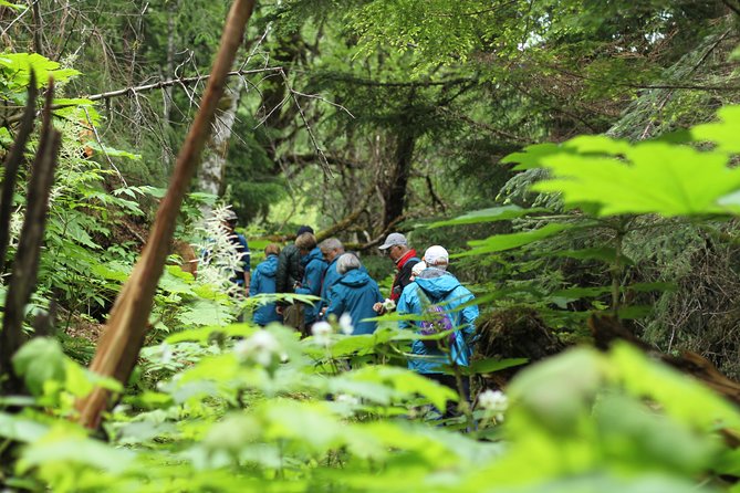 Chilkat Inlet Coastal Hike in Haines - Stunning Scenery Along the Trail
