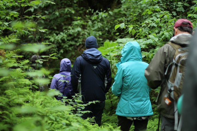 Chilkoot Trail Hike, Float, and Summit Drive - Scenic Rafting on Taiya River