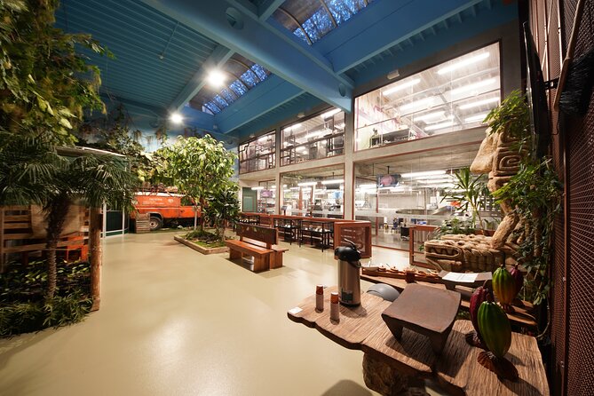 Chocotopia Visit + Workshop - Chocolate Making Workshop