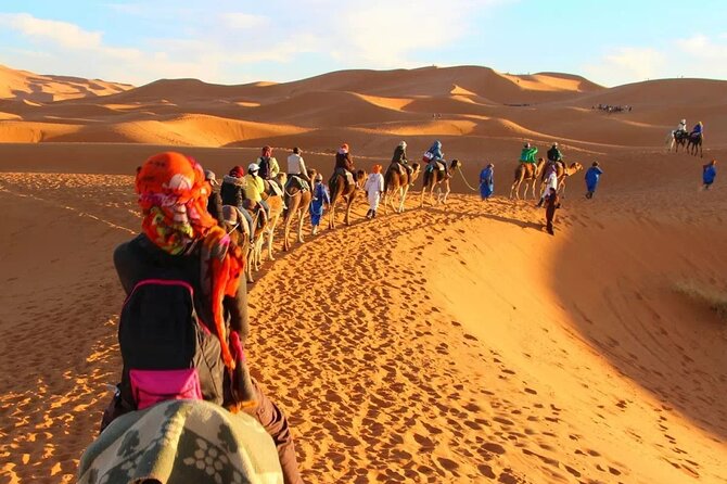 Circuit the South of Tunisia in 2 Days Sahara Explorer - Activities and Experiences