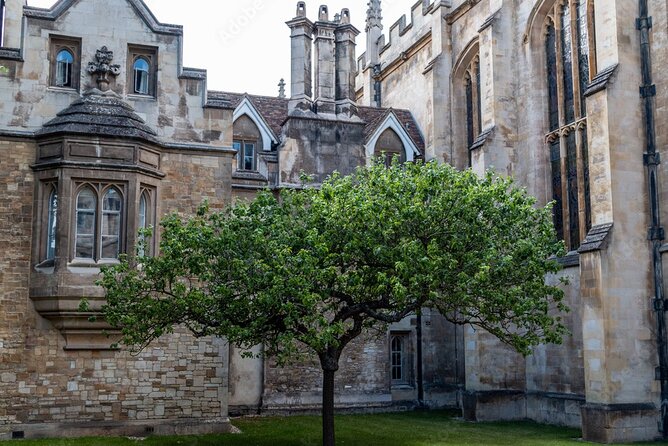 City of Cambridge Private Day Tour - Accessibility and Participation