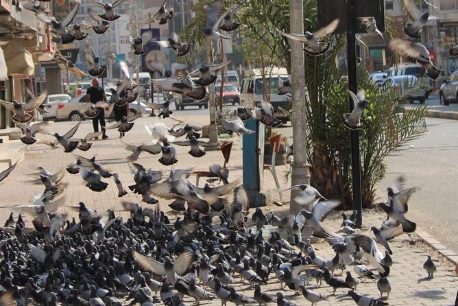City Tour of Hurghada - Key Attractions Visit