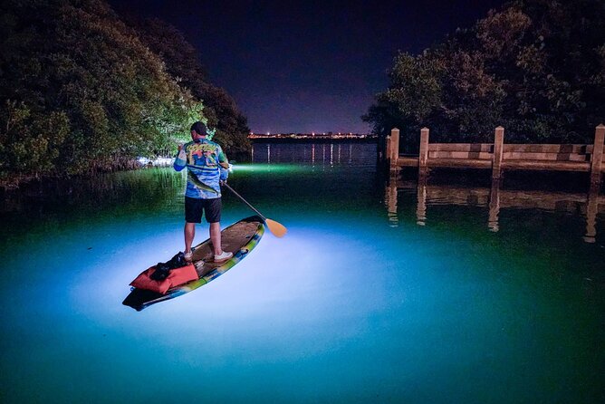 Clear Kayak LED Night Glass Bottom Tour - Sarasota - Exploring the Mangroves and Grass Flats