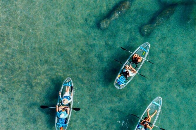 Clear Kayak Peanut Island Guided Tour Palm Beach Singer Island - Booking Information