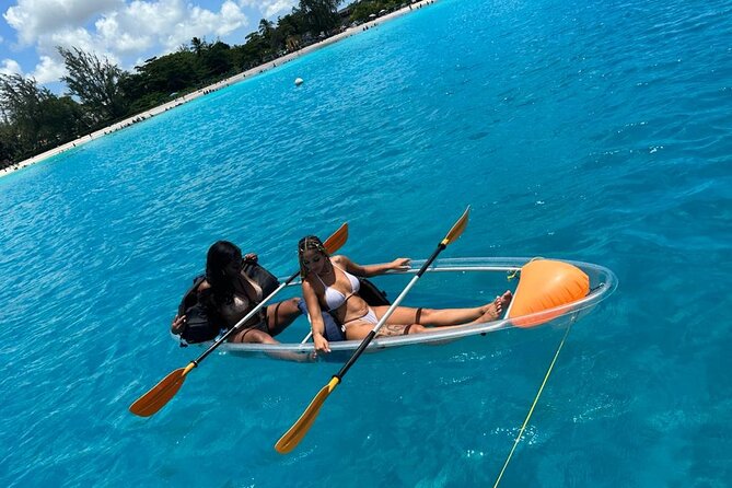 Clear Kayak Shipwreck and Sea Turtle Tour - Whats Included in the Tour