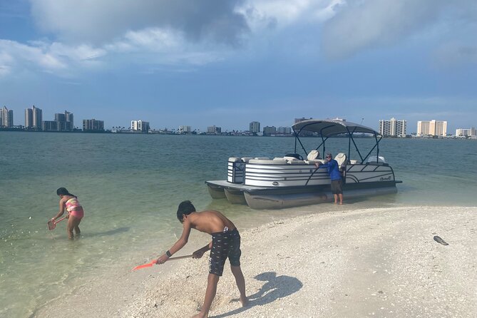 Clearwater Beach Pontoon Tours - Dolphin Watching and Wildlife Encounters