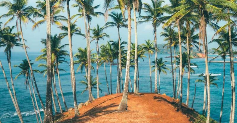 Colombo International Airport (CMB) Pick Up to Mirissa Beach - Company Background