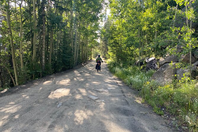 Colorado Rockies 1 Day E-Bike Tour - Itinerary and Schedule