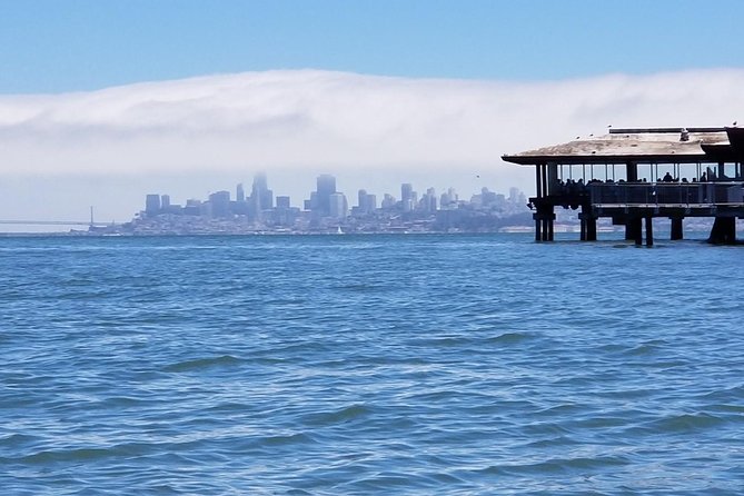 Combo Small-Group Tour: SF City Plus Muir Woods & Sausalito - Guided Tour Experience