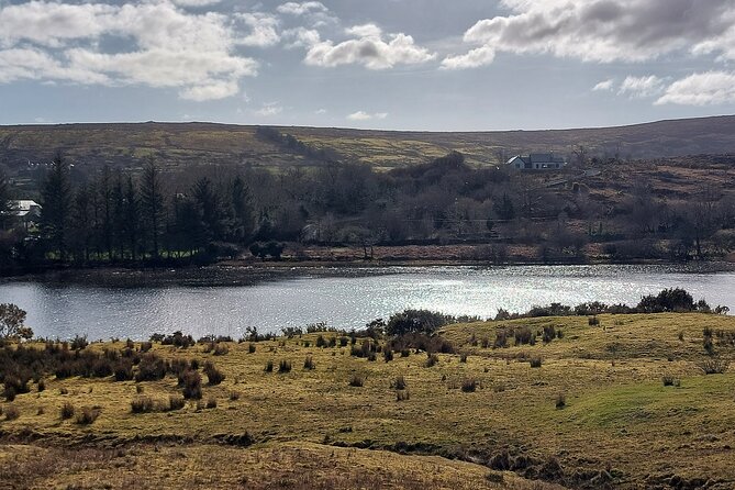 Connemara, Kylemore Abbey, Ross Errily and Sky Road Private Tour From Galway - Accessibility and Participation