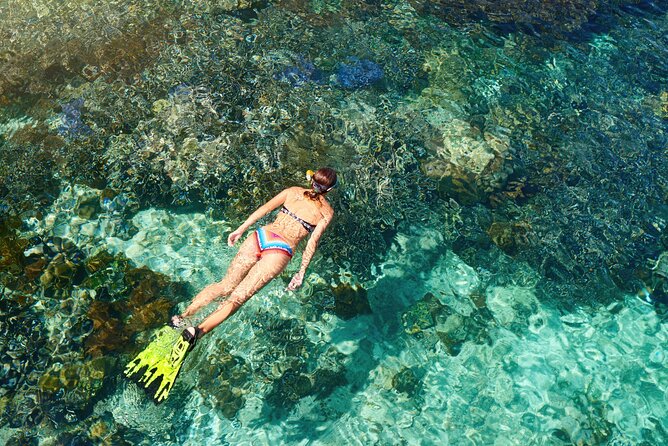 Coral Snorkeling Private Tour in Punta Cana With Seafood Lunch - Transportation Details