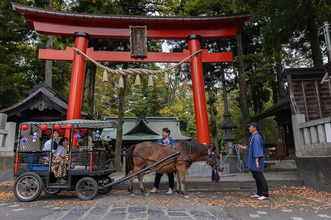 Cosy Horse Carriage Ride With Snowy Mt. Fuji Views - Included Amenities