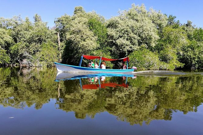 Countryside Boat Ride Beach-Horseback Ride Turtle Release - Crocs - Activities Included