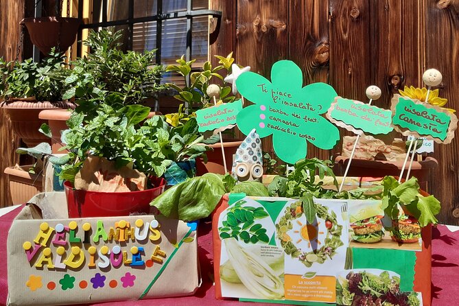 Creative Workshop - Vegetable Garden in Boxes - Materials Included