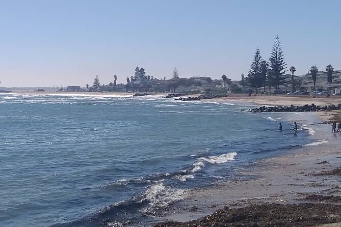 Cruise Liner Special: Swakopmund and Namib Desert Highlights - Pickup and Meeting Details