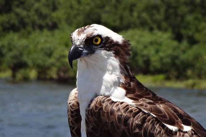 Crystal River Boat Tour - Meeting Information