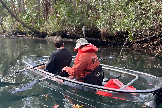 Crystal River Sunset and Glow Kayak Tour Review - Meeting Point and Getting There