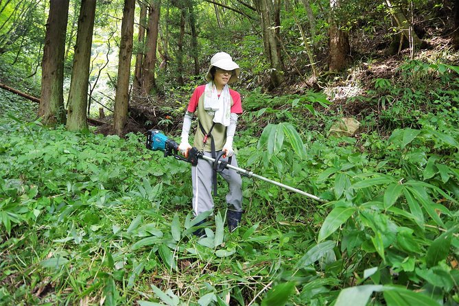 Cultivate Organic WASABI - Highlights of the Gastronomic Outing