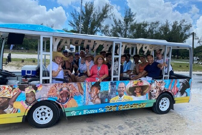 Culture Tour/Lunch & Beach Stay - Inclusions of the Experience