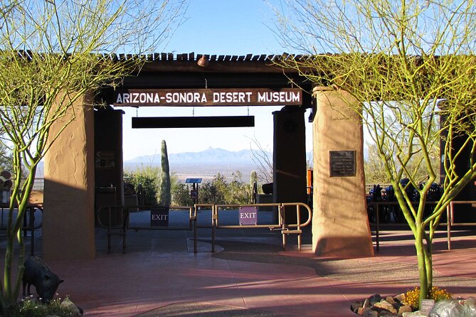 Custom Private Tucson Day Tour Review - Highlights of the Tour