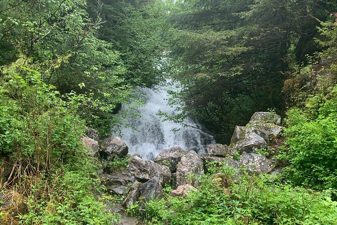 Custom Tour In Ketchikan: A Review - Praise for Ketchikan Luxury Tours