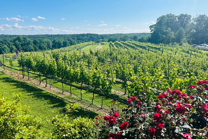Dahlonega Wine & Dine Private Tour From Atlanta - Wine Tastings Experience
