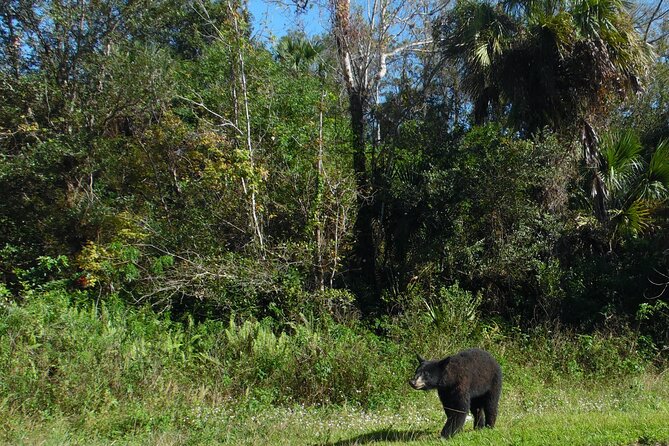 Dark Skys in the Florida Everglades Review - Inclusions and Amenities