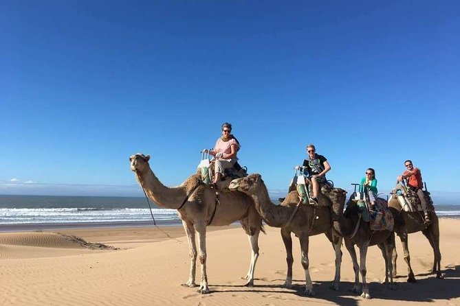 Day Camel Ride With Picnic on Essaouiras Beach - Whats Included in the Tour