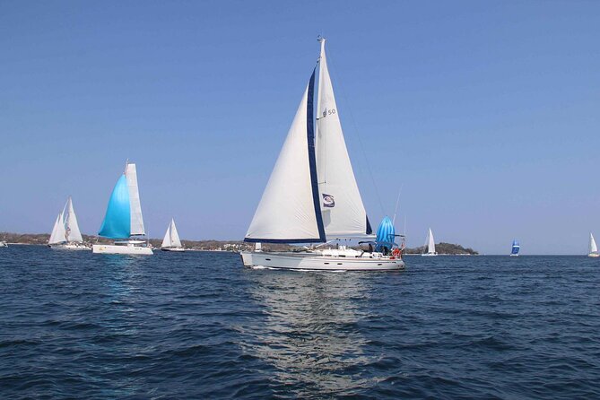 Day Sailing Adventure in the Florida Marine Sanctuary Review - Exploring the Florida Marine Sanctuary