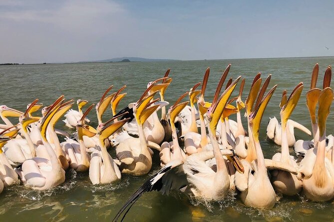 Day Trip Bahir Dar, Lake Tana and Blue Nile Falls Tours - Inclusions and Exclusions